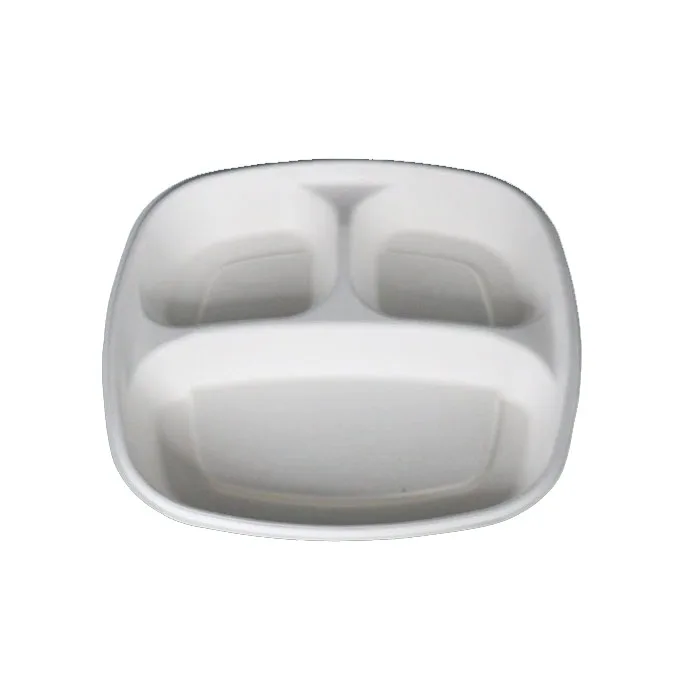 disposable sugarcane bagasse food tray with plastic cover lid