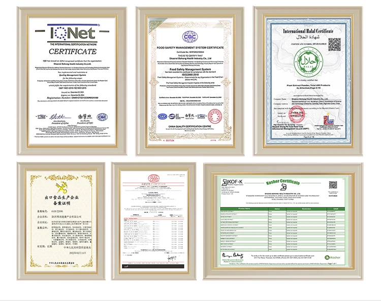 Nature Puerarin Isoflavone Puerarin Extract Powder