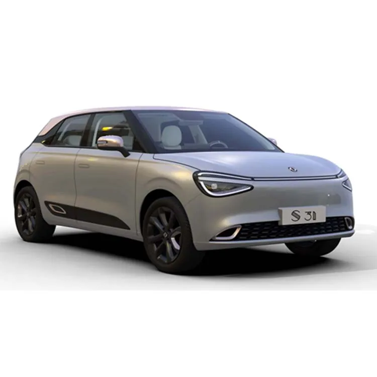 Famous Brand Factory Direct Pure Electric Popular Passenger Car