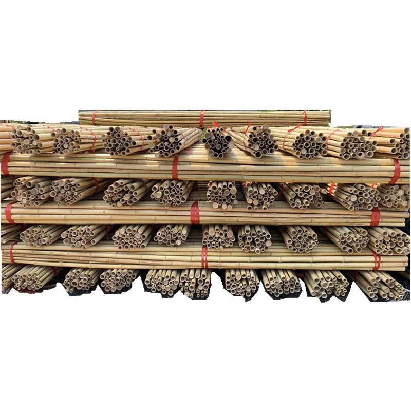 Бамбуковые палочки зеленого цвета/бамбуковое ограждение