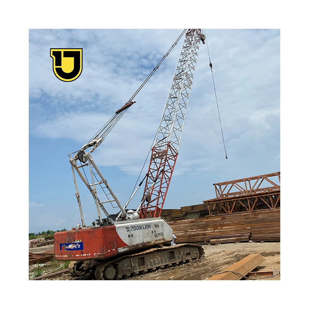 2010 Year Crawler Crane QUY50