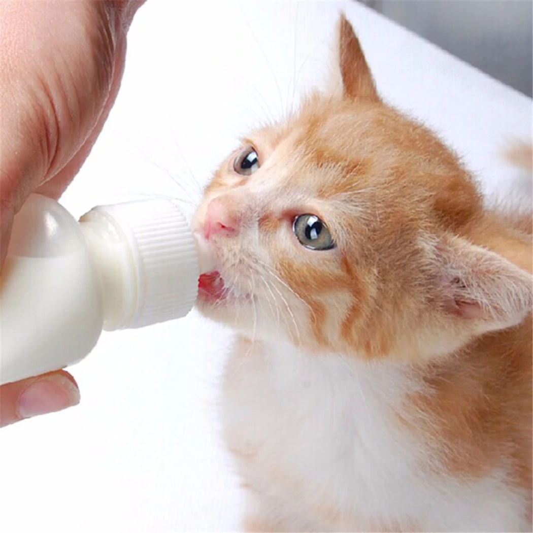 50ml Pet Nurser Nursing Feeding Bottle Puppy Milk Feeder With Replace Nipples And Brush Pet Medicine Feeder