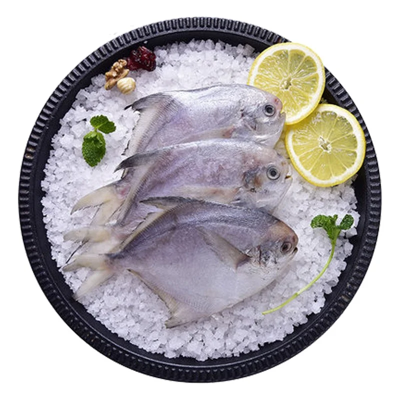 New Season Silver Pomfret Frozen White Pomfret Fish with Size 80-100-150-200g