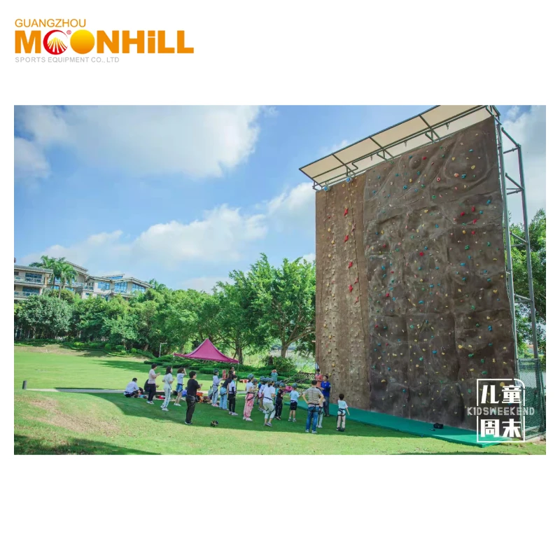 Climbing Wall Climbing Holds Outdoor Adult CE Custom Playground Wholesale Climbing Wall Mats