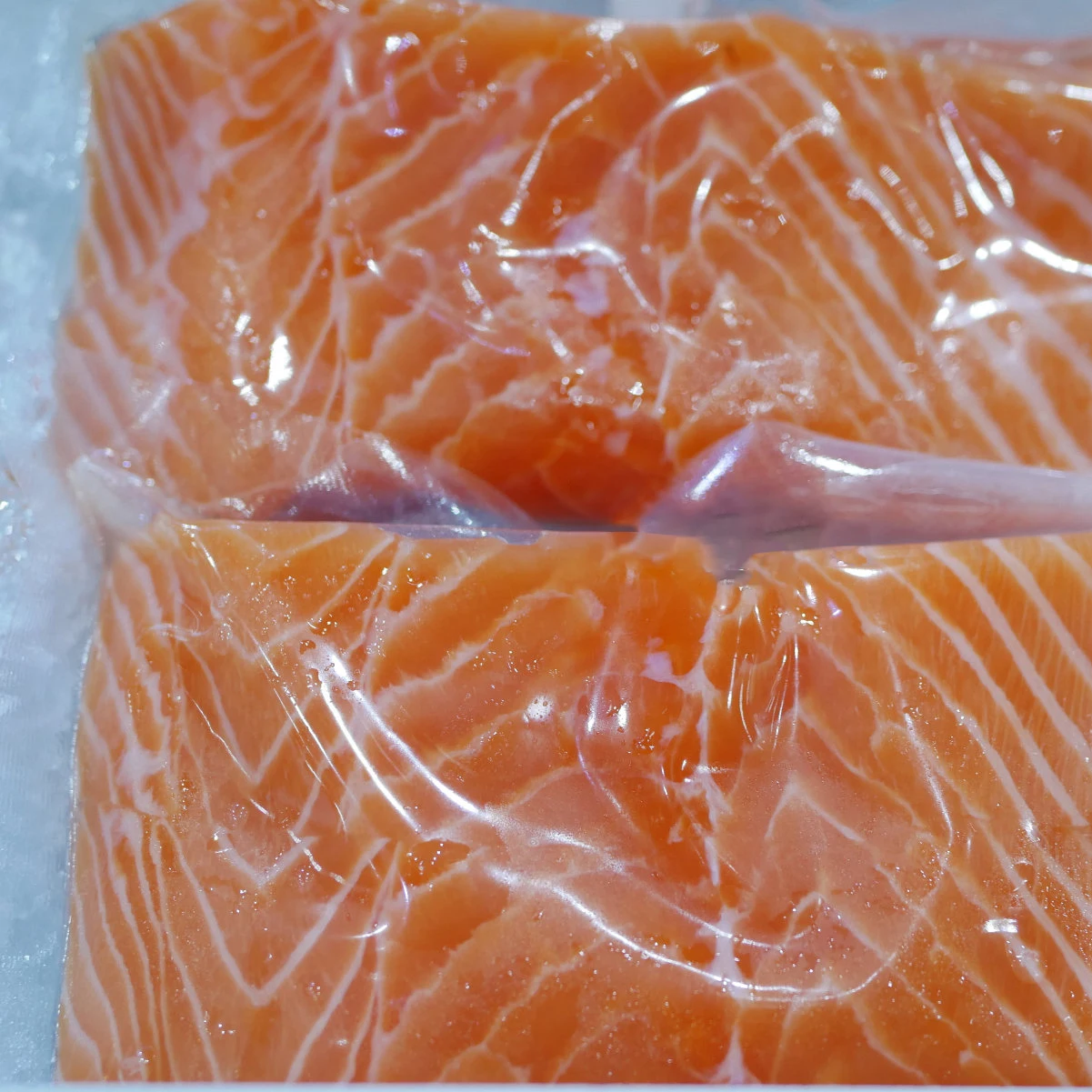 Новый сезон морепродуктов морская замороженная рыба лосося/живот лосося по конкурентоспособной цене