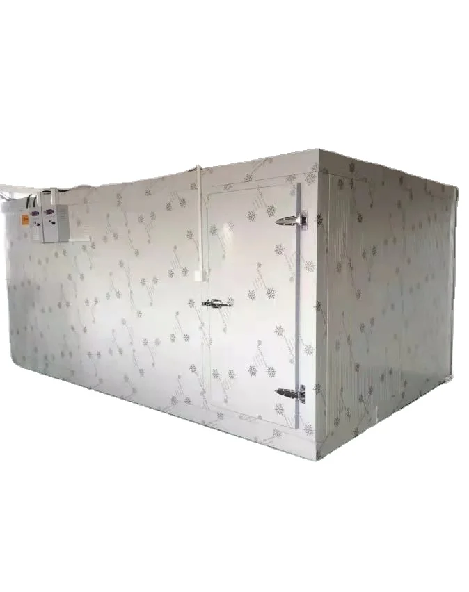 New type freezer cool room cold room project refrigeration unit big room cold storage system