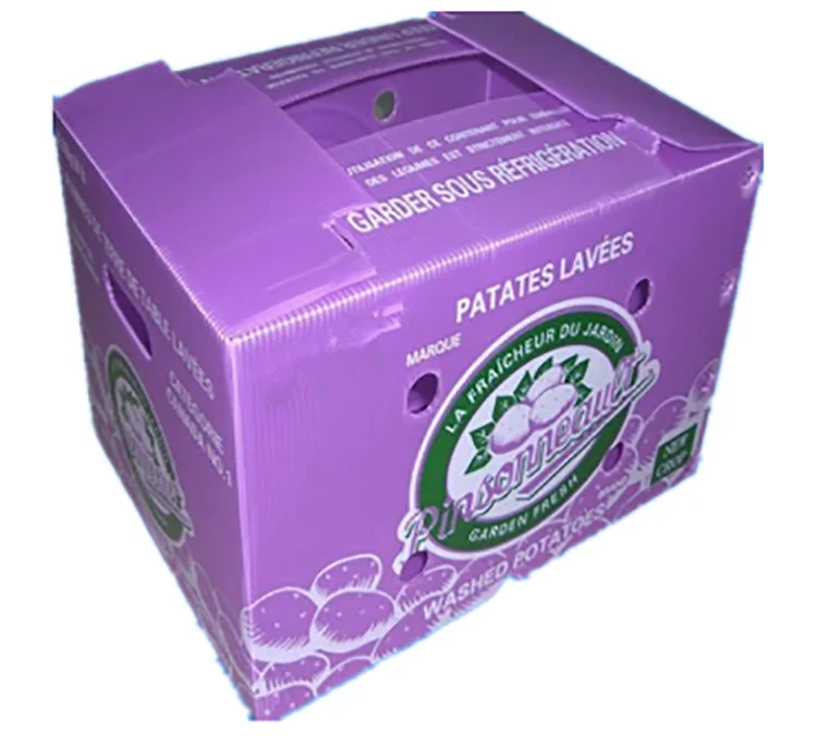 Ginger Box Ginger Plastic Box Fresh Ginger Plastic Packaging Box