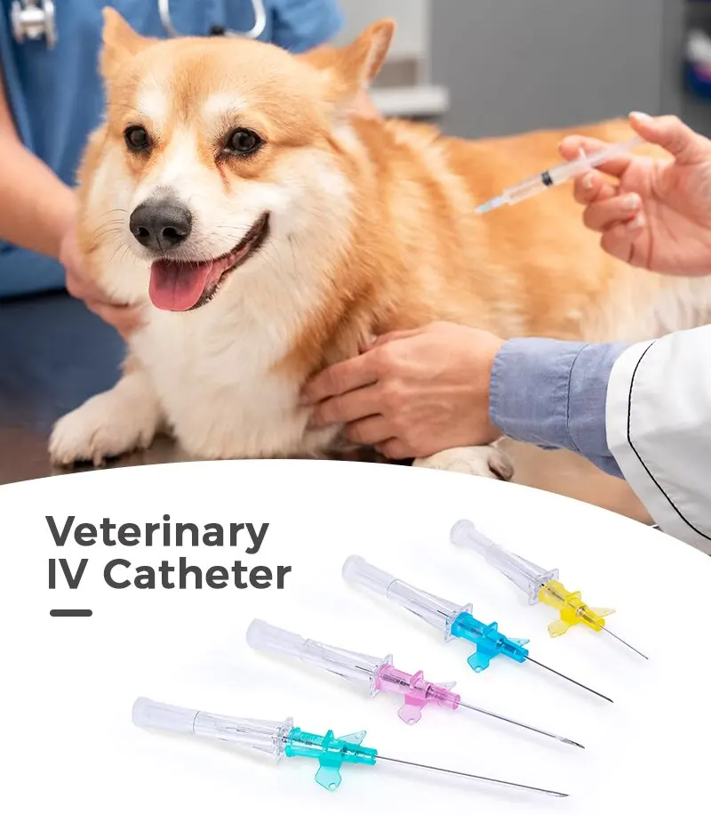14G High-Quality Durable and Reliable Animal IV Cannula with Injection Port