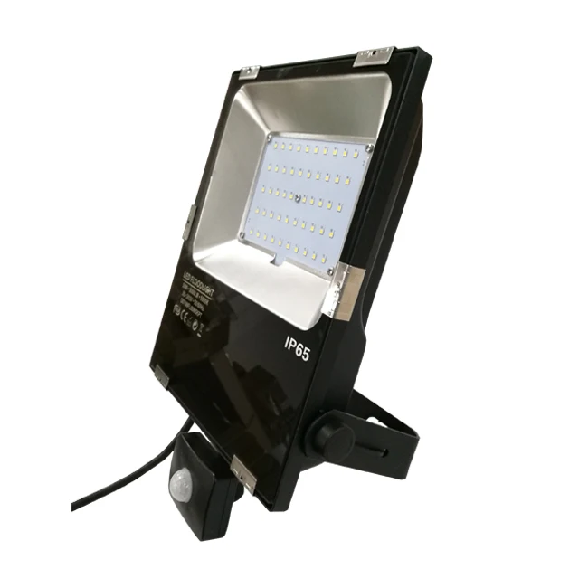 10W 30W 50W 100W Plug-in PIR Sensor Slim Solar LED Flood Lights Outdoor With Bracket