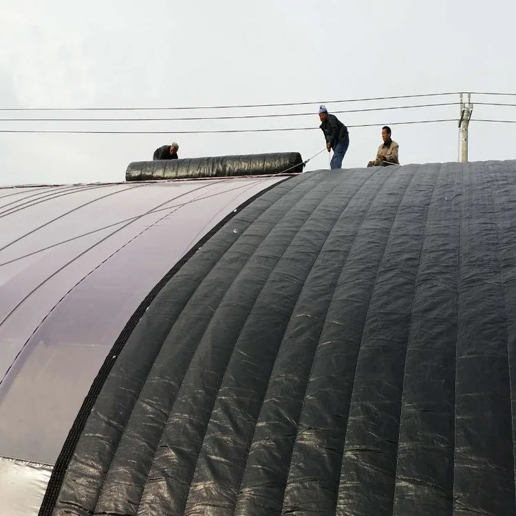 Hangmei low cost solar tunnel agricultural greenhouse