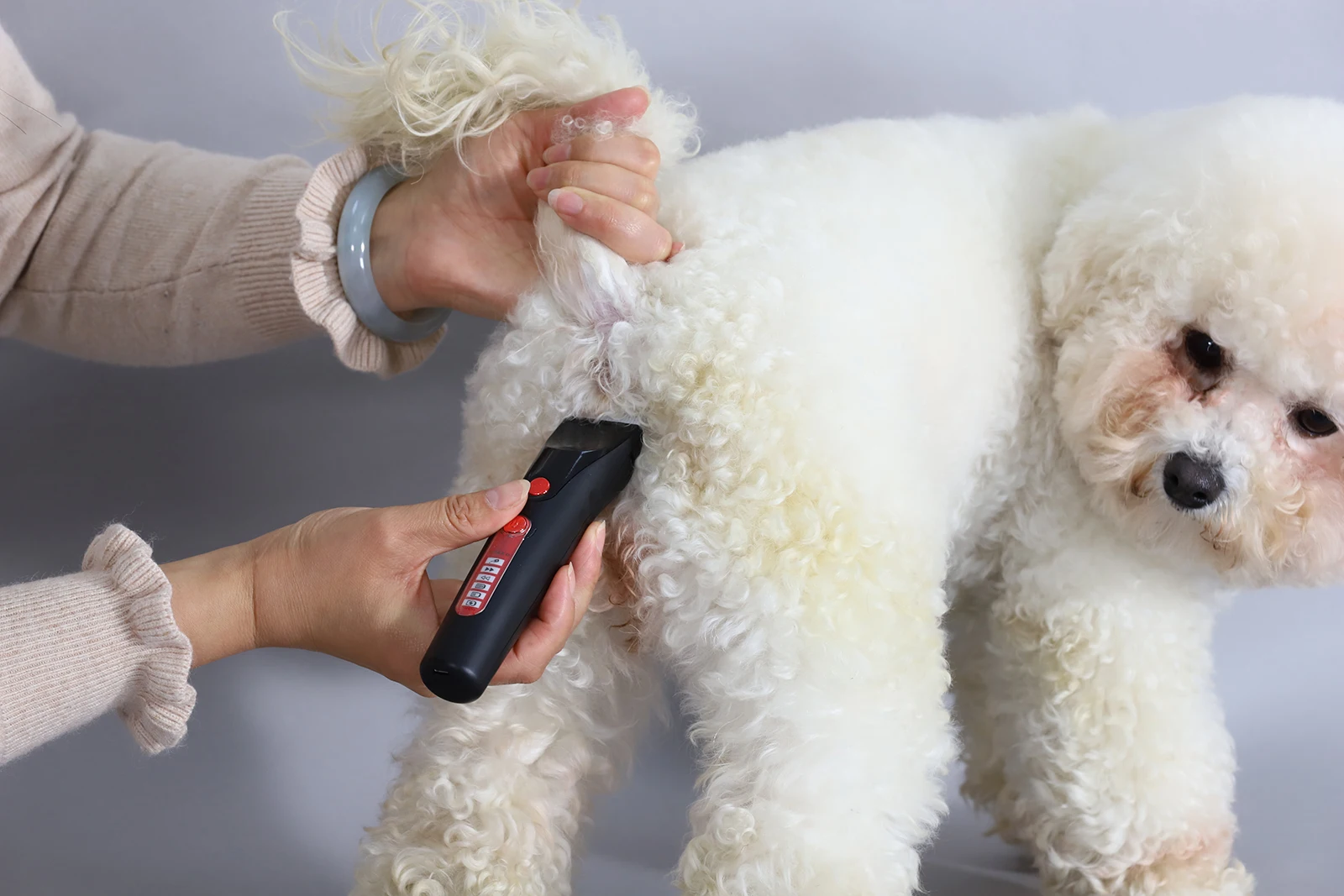 Super lightweight Rechargeable Pet Trimmer Long Running Time Low Noise Pet Hair Clippers