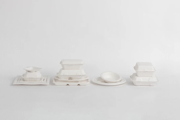 LUZHOU Natural Sugarcane Bagasse Renewable Plant Fiber Tree Free 3-Compartment Clam Shell Container