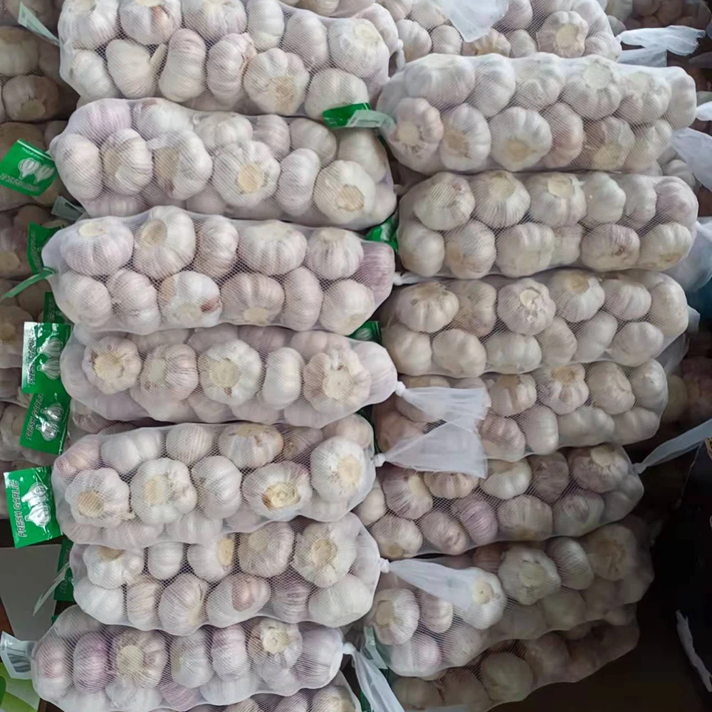 Fresh Normal White Garlic Pure White Garlic