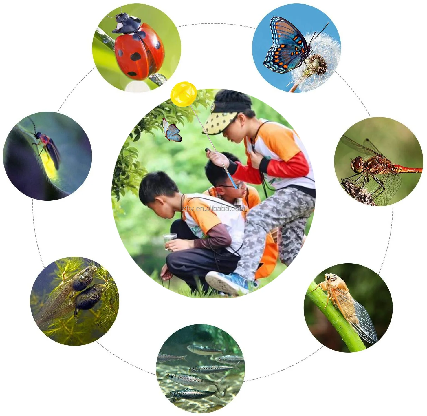 Telescoping Bug Catching Nets For Children kids Insect Fishing Net