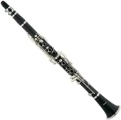 REGIS Cecillo Bb Clarinet w/Case - Best Beginners Clarinet for Students, Adults and Kids w/Stand,  Mouthpiece and 10 Reeds