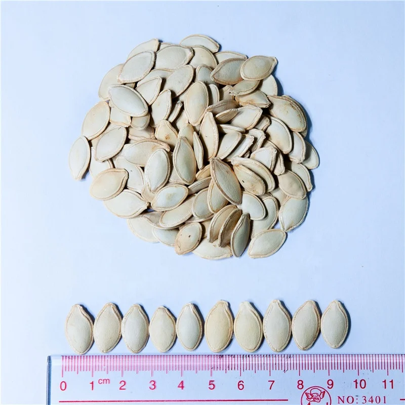 new crop chinese pumpkin seeds organic pumpkin seeds price