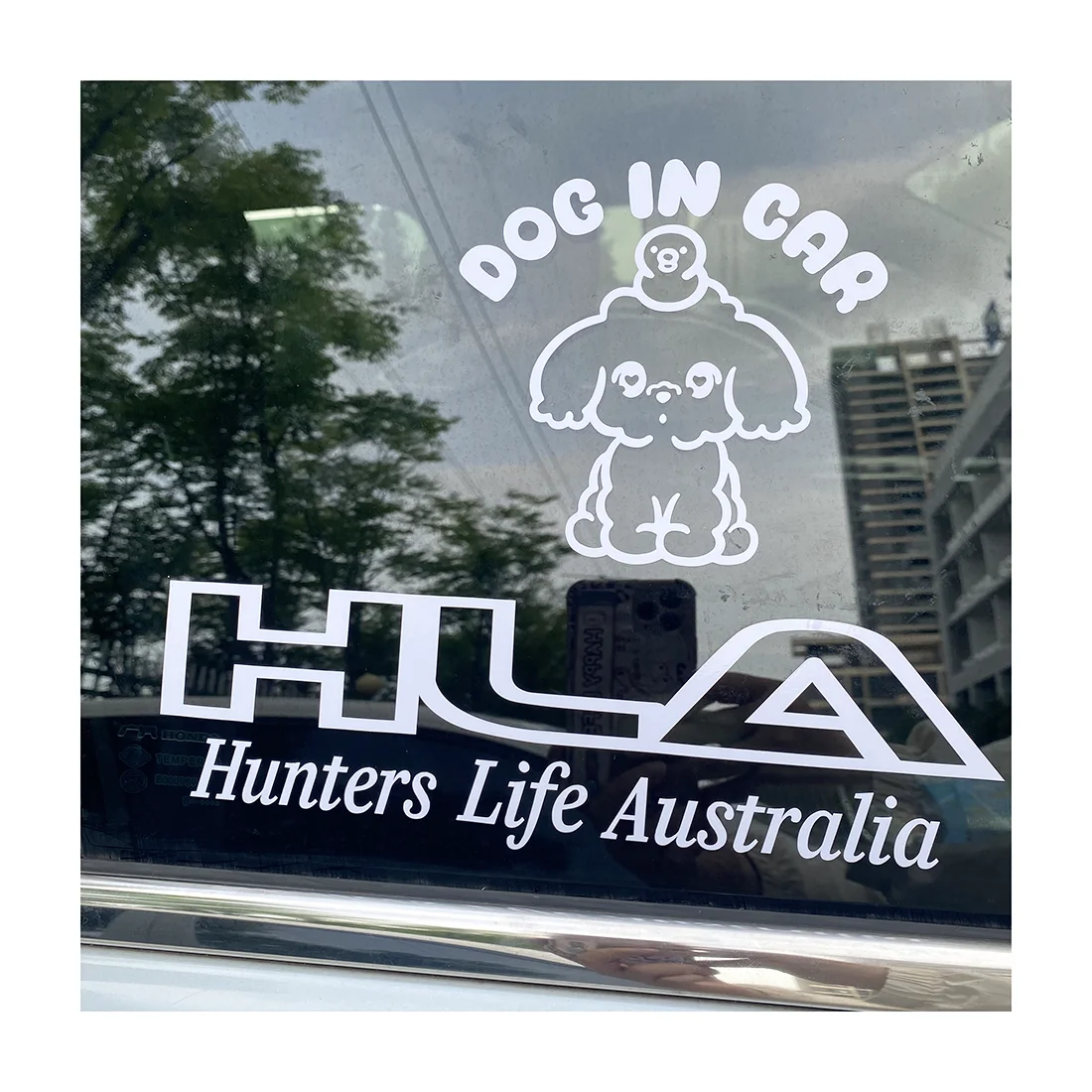 Переводные виниловые наклейки на окна автомобиля