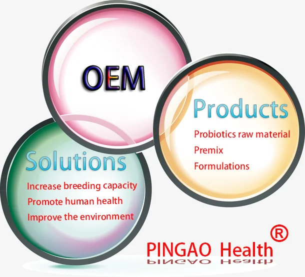 Wholesale Factory Price Best Probiotic Powder Lactobacillus Fermentum