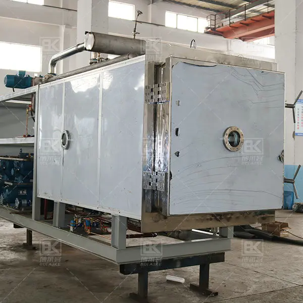 Factory direct supply  popular medium of  freeze drying equipment for antler dendrobium, wolfberry and other medicinal materials