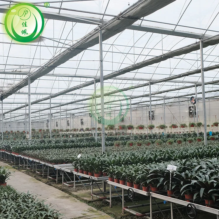 Large Agricultural Greenhouse with Motor Ventilation PCsheet Manufacturing Film Greenhouses Including Irrigation System for Sale