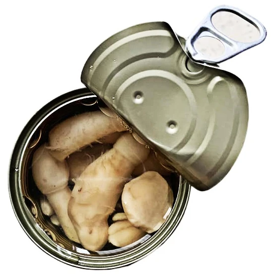 Wholesale OEM popular cheap 425 G canned drumstick mushroom