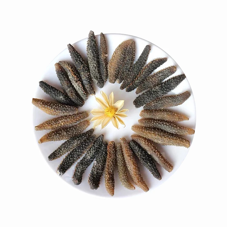 High Quality Wholesale Indonesian Sea Cucumber For Sea Cucumber