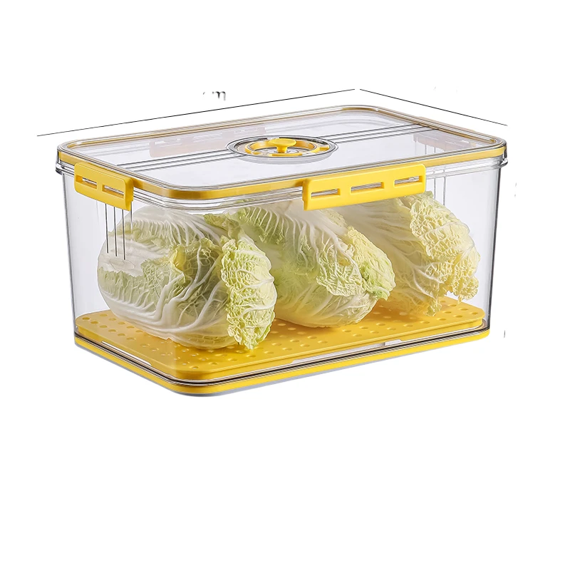Kitchen Pet Food Fruits And Vegetable Storage Bin Freezer Ref Fridge Storage Container Boxes With Lids