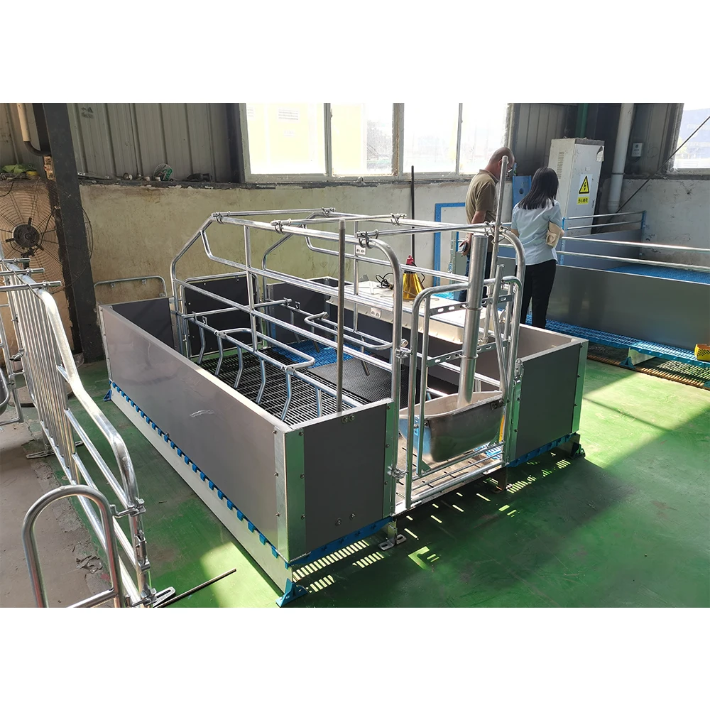 Hot galvanized piggery equipment farrowing crate farrowing pen for sale