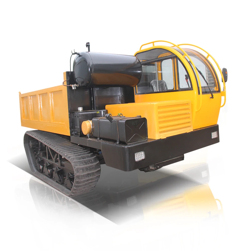 Available in Stock Easy to Operate Chain Dumper Truck Hydraulic Mini Truck Diesel Electric Fuel Options High Driving Cab Roof