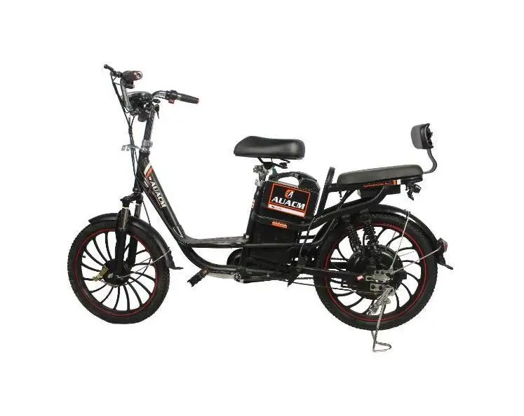 Speed Electric Bicycle 200 kg Load with Low Price 20 Inches E Bike