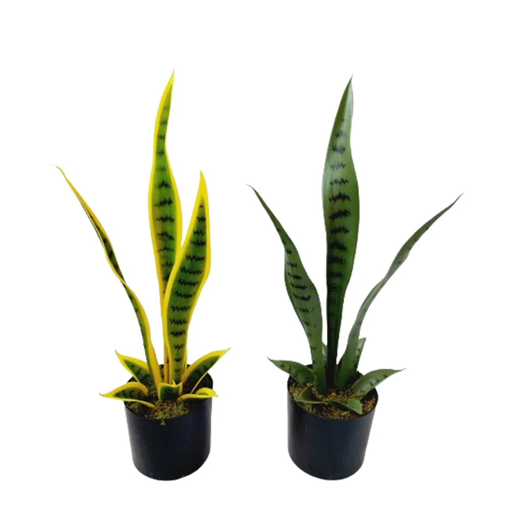 55cm 69cm 90cm Bonsai Plant Artificial Sansevieria Snake Potted Plants