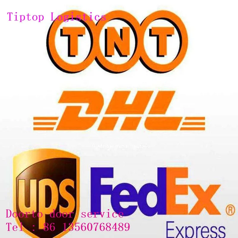 china best shipping agent in shenzhen supply dhl saudi door to door delivery service
