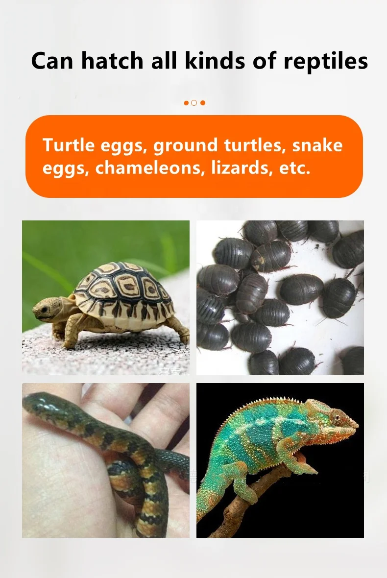 120 eggs fully automatic/infant hatching eggs incubator price Reptile egg incubators for sale