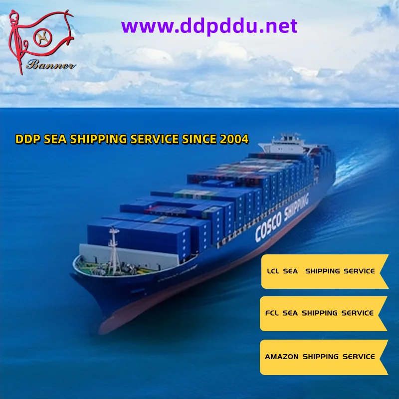 FCL LCL sea shipping  CIF FOB  booking agent  from ShenZhen GuangZhou  ShangHai Ningbo QingDao  TianJin to USA  Canada  Mexico