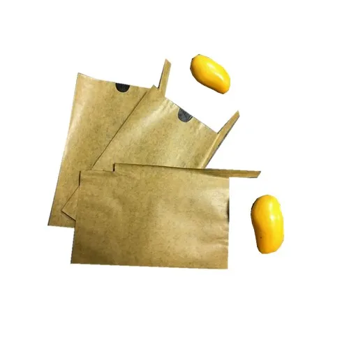 waterproof fruit cover bag mango growing paper bag
