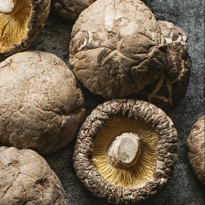 
2019 Hot Sale Chinese Suizhou Dried Mushroom 