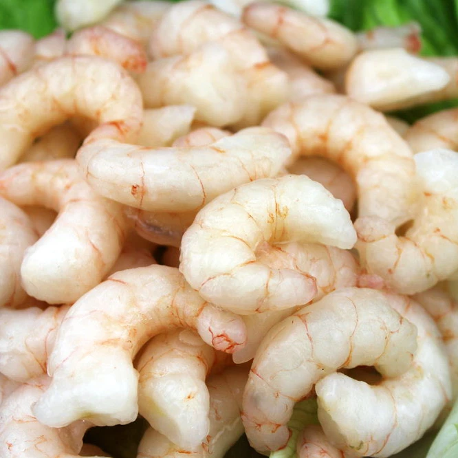 
Hot sale frozen red shrimp fresh shrimp pud big size 