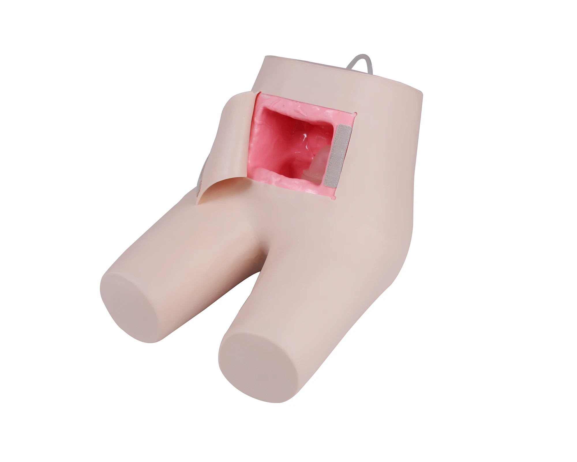 Enema and Defecation Assisting Model