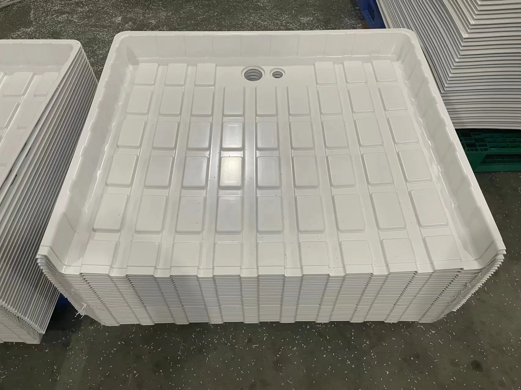 Microgreen Trays Extra Strength Shallow Seed Starting 1020 Plant Germination Tray