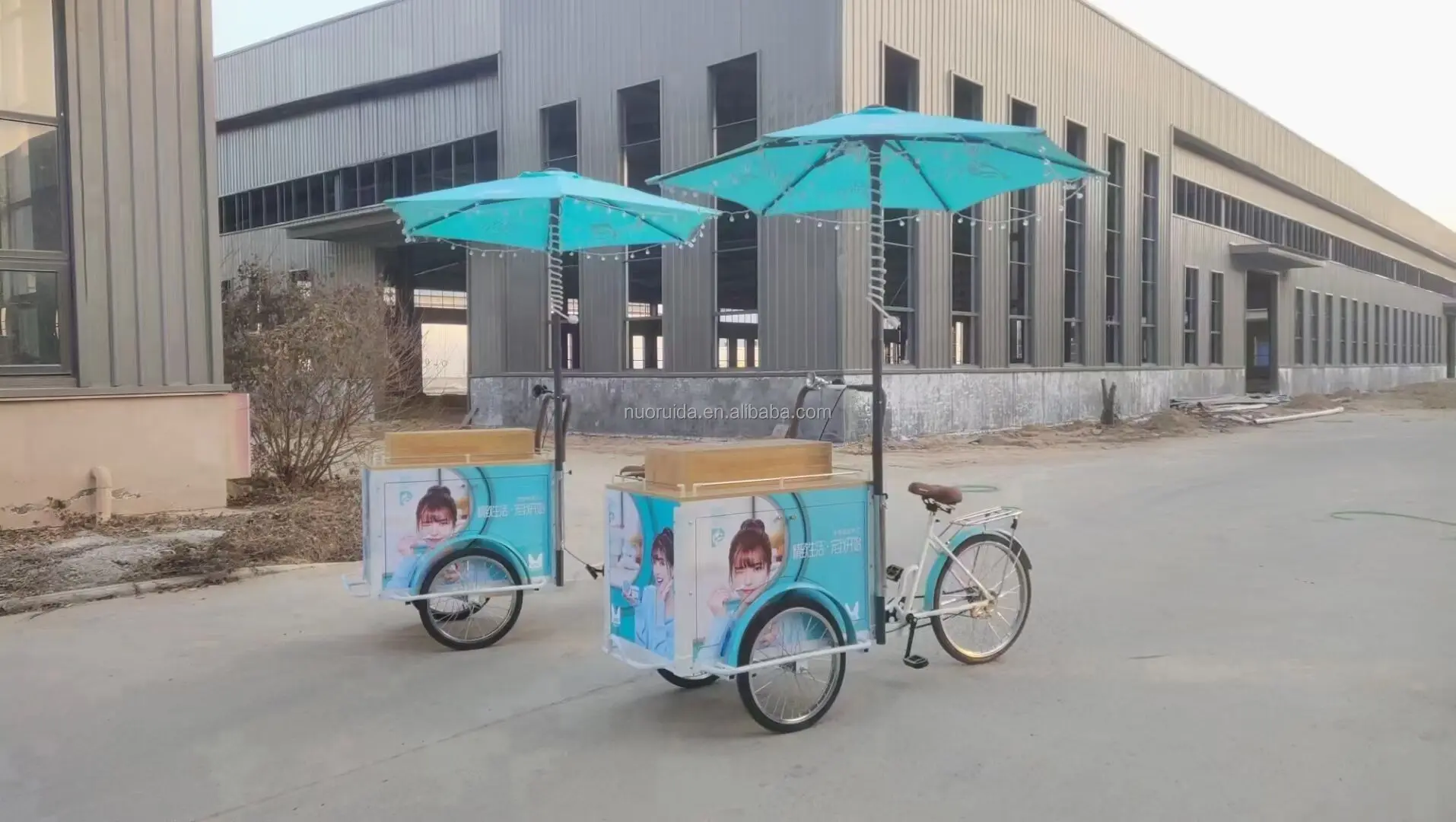 factory directly supply high end ice cream cart bike mobile ice cream bike for food cart food bike ice cream cart