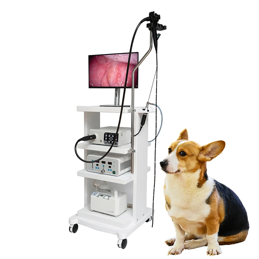 All Weather Flexible Ent Endoscope For Veterinary Endoscopy Equipment
