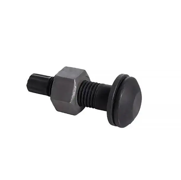 ASTM A325 A490 Grade10.9 Tc Bolt with Nut and Washer  Plain, Black, Zinc Plated, Yellow Zinc Plated, H.D.G