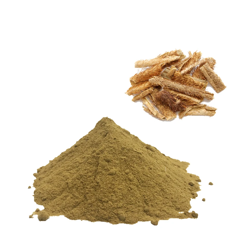 GMP Factory High Quality Panax Ginseng Root Extract 8~80% ginsenoside