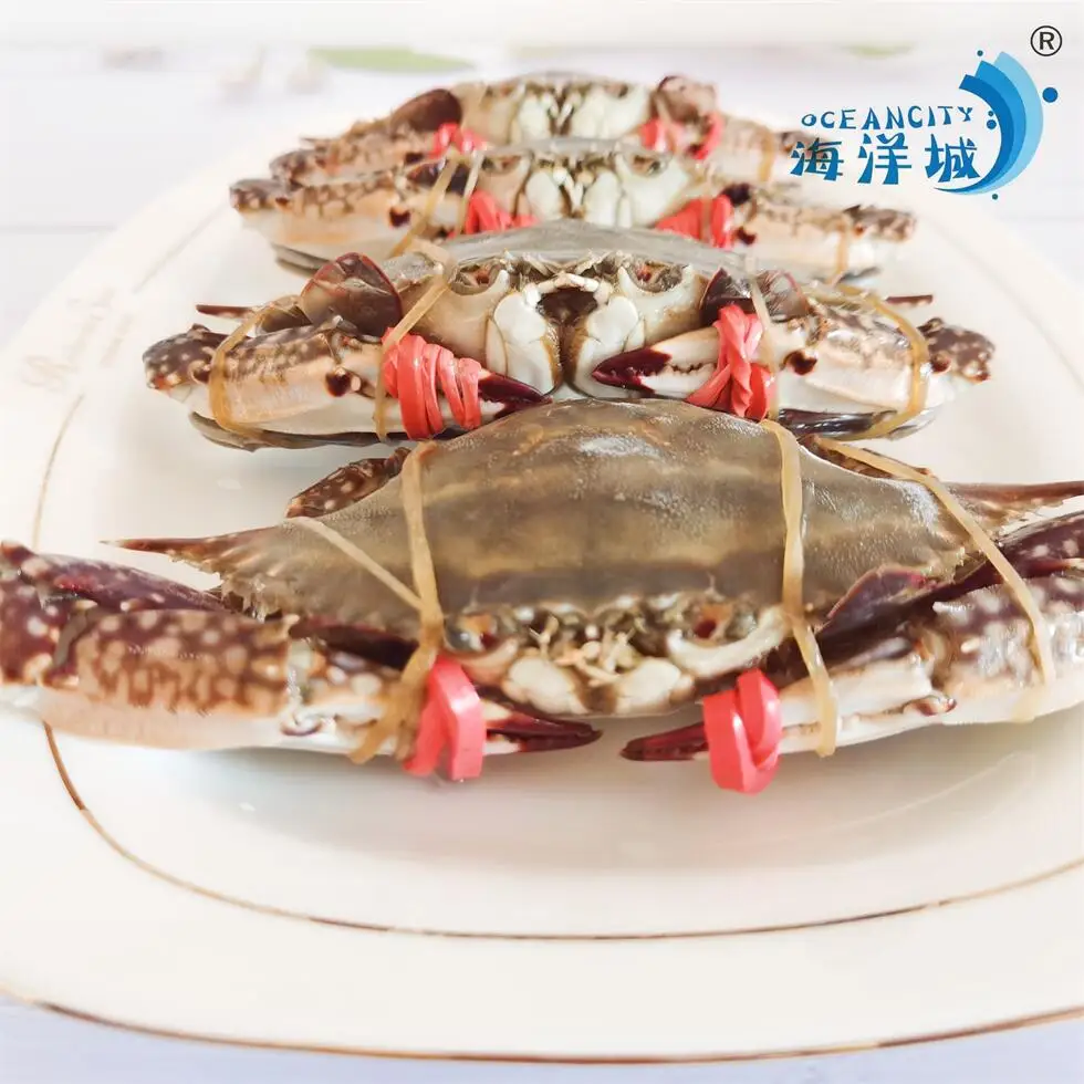 Wholesale High Quality Swimming Frozen Crab Types Of Sea Foods