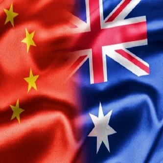 India shipping agent door to door service from china Sea/Air/FCL/LCL Freight Forwarder FBA Ddp/FedEx/UPS/DHL Express to India