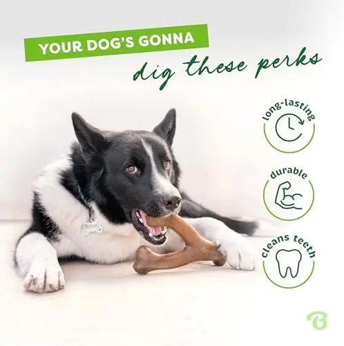 Wishbone Dog Chew Toy Durable Real Bacon Flavored Eco-Friendly  Chewers Medium Size Bone Nylon PP Shape Pet Bite Resistant
