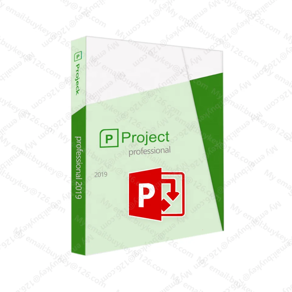 1PC Project Professional 2019 100% Online Digital Key Office 2019 Project Professional License 24 hours Email Instant Deliver