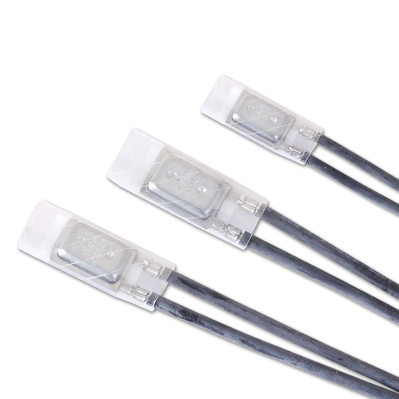 Advanced Technology Good Price Ceramic Thermal Fuse