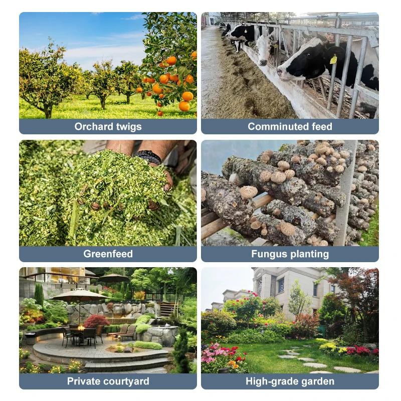 6.5 HP Engine Small Household Wood Shredder Maximum Cutting Diameter 50mm Chipper