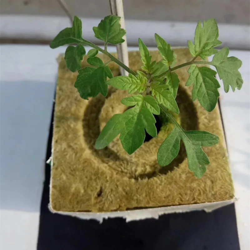 Free Sample Storage Container Irrigation Cheap Indoor Hydroponics Plant Seed Vertical Leaf Smart Farming Grow Box